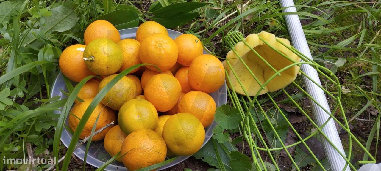 Terreno Urbano em Castelo Viegas - Grande imagem: 4/13