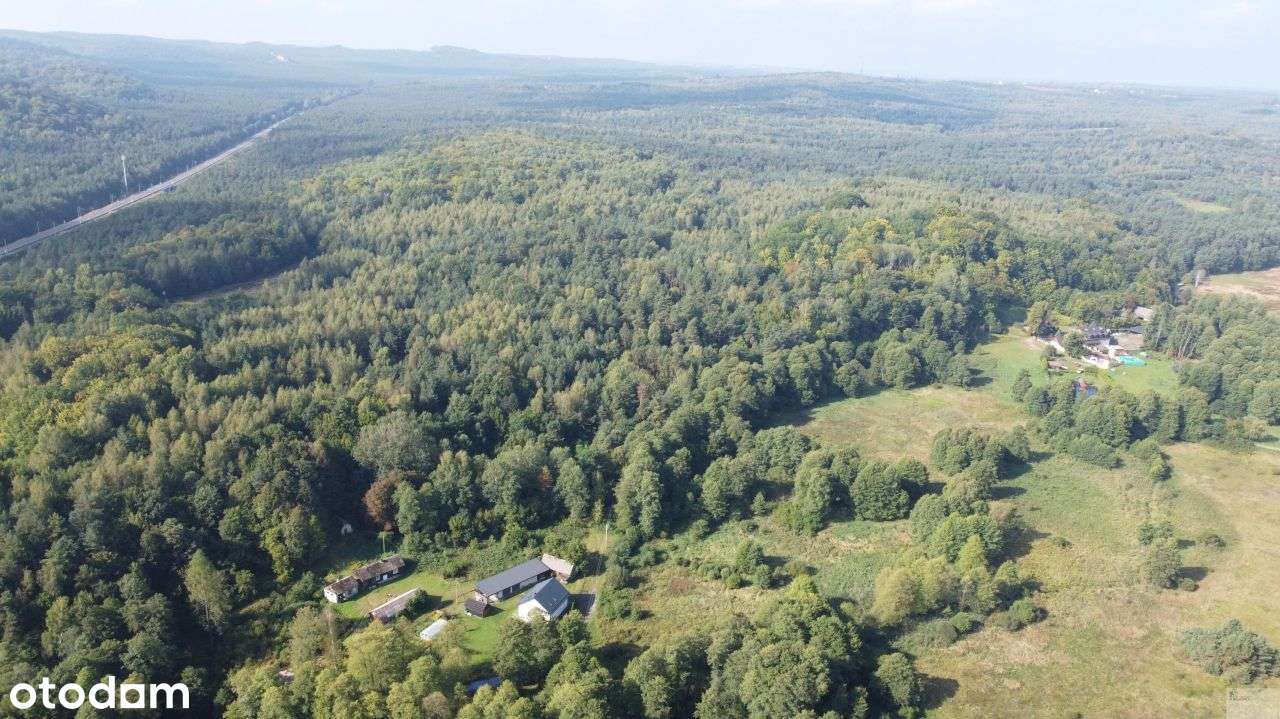 5000 m2 działki budowlanej w malowniczej Jurze - Pełny obrazek: 5/16