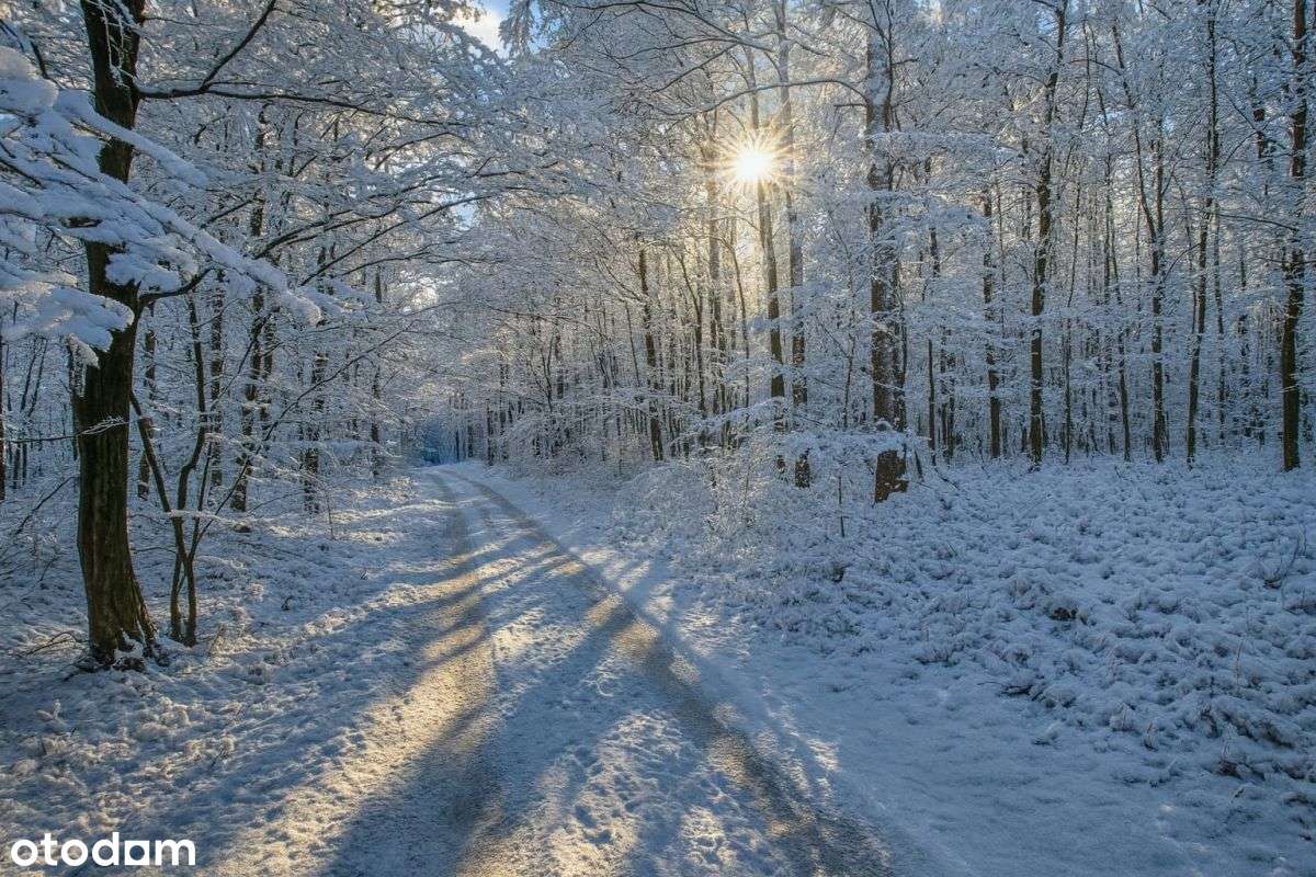 Dom całoroczny w pobliżu jeziora Ciche/k.Brodnicy-8