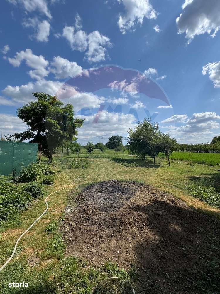 Teren Ferbinti Targ - 3.500 Mp - Imagine principală: 3/3