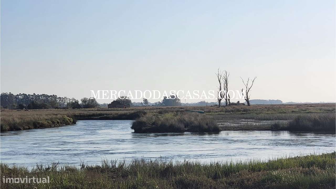 Quinta em Válega - Grande imagem: 4/41