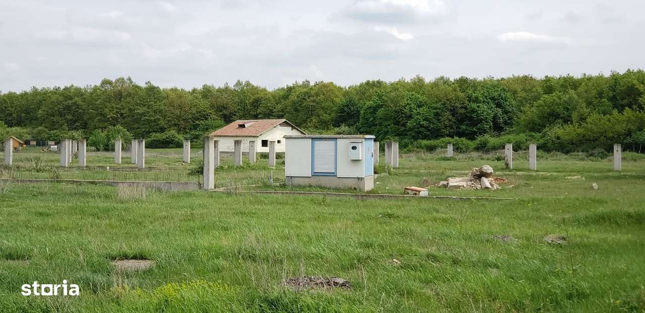 Teren intravilan de vanzare 32 parcele situate in comuna Gepiu, Bihor - Imagine principală: 4/17