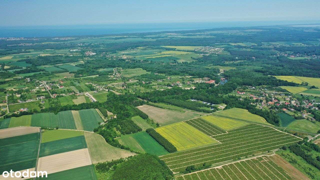 OSTATNIE DZIAŁKI - Strzelinko - komplet uzbrojenia-10