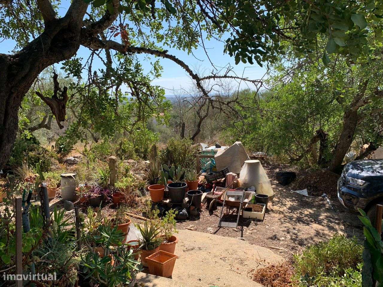 Terreno Urbano, com 3 artigos, Colmeal-42