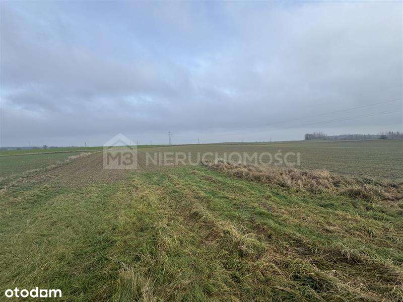 Sucumin - działka na sprzedaż DK22-10