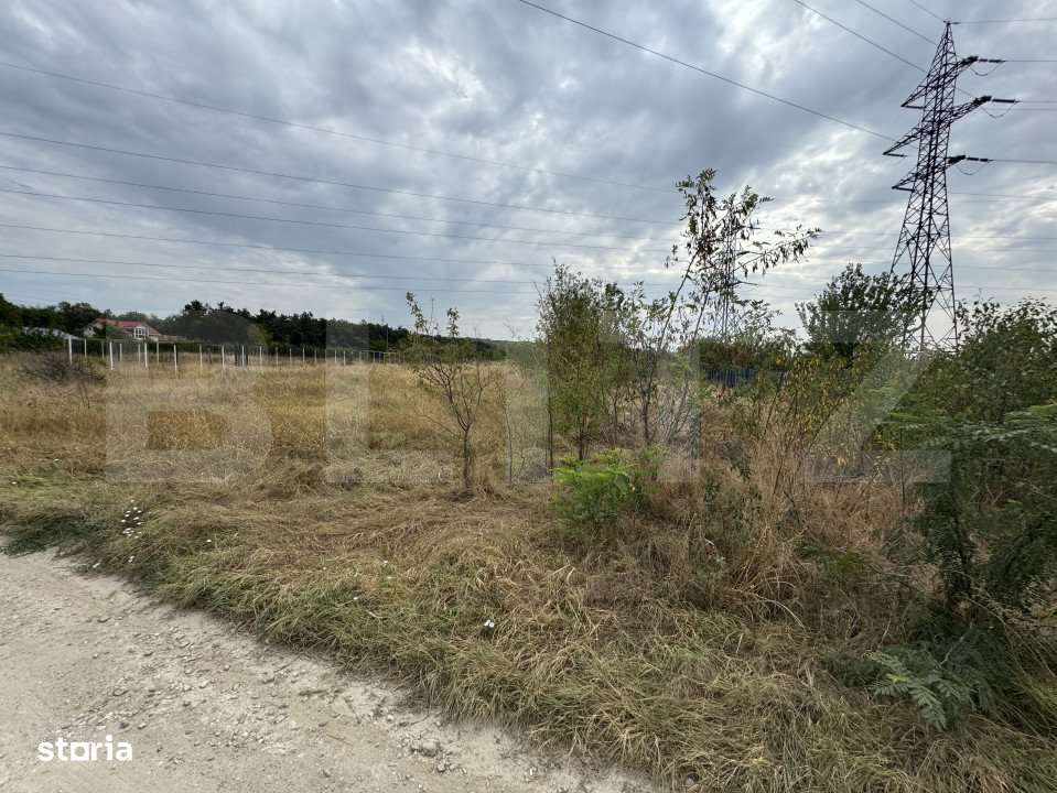 Teren 2981 mp, toate utilitatile la front, zona Bariera Valcii - Imagine principală: 2/2