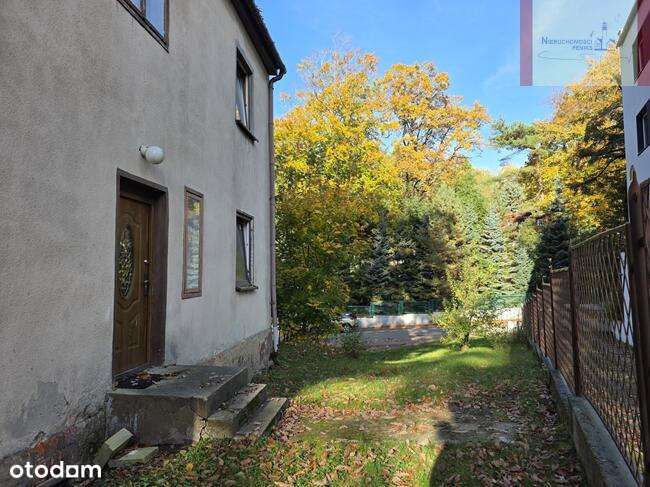 600m od plaży- Jastrzębia Góra (Klonowa)-8