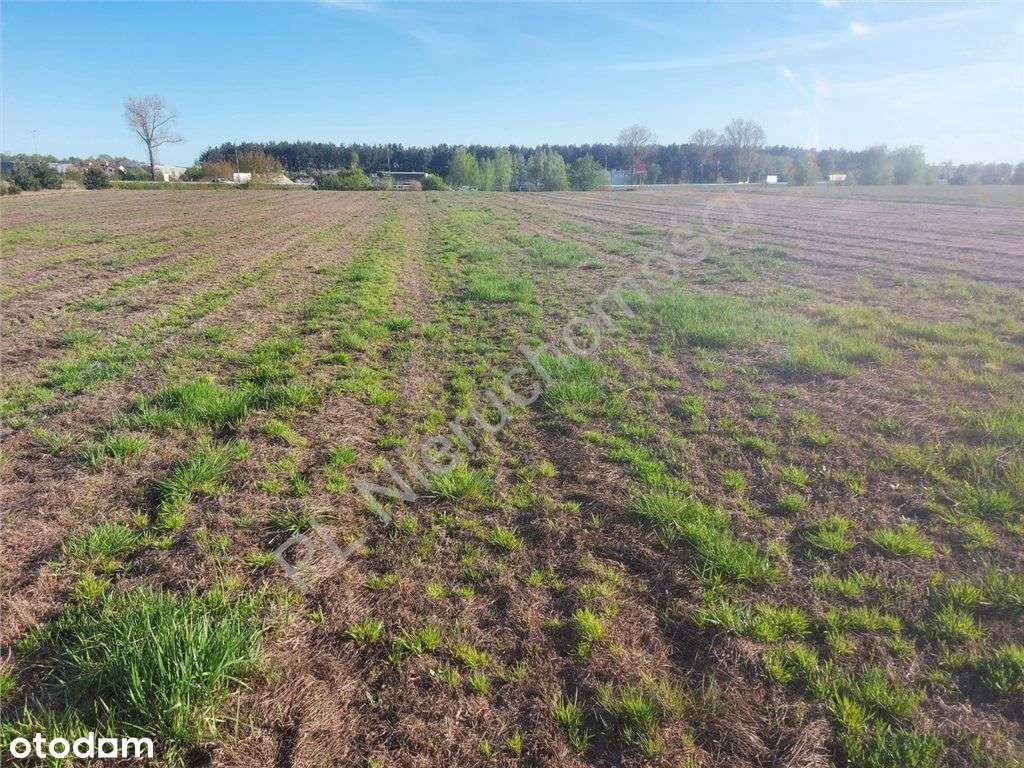 Działka Przy Trasie S-8 - Pełny obrazek: 4/7