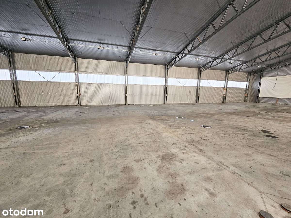 Hala magazynowo - produkcyjna przy DK 28, gm. Tymbark (k.Limanowej) - Pełny obrazek: 5/7