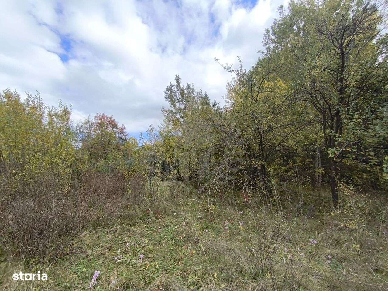 TEREN INTRAVILAN// CORNU DE JOS - Imagine principală: 3/6