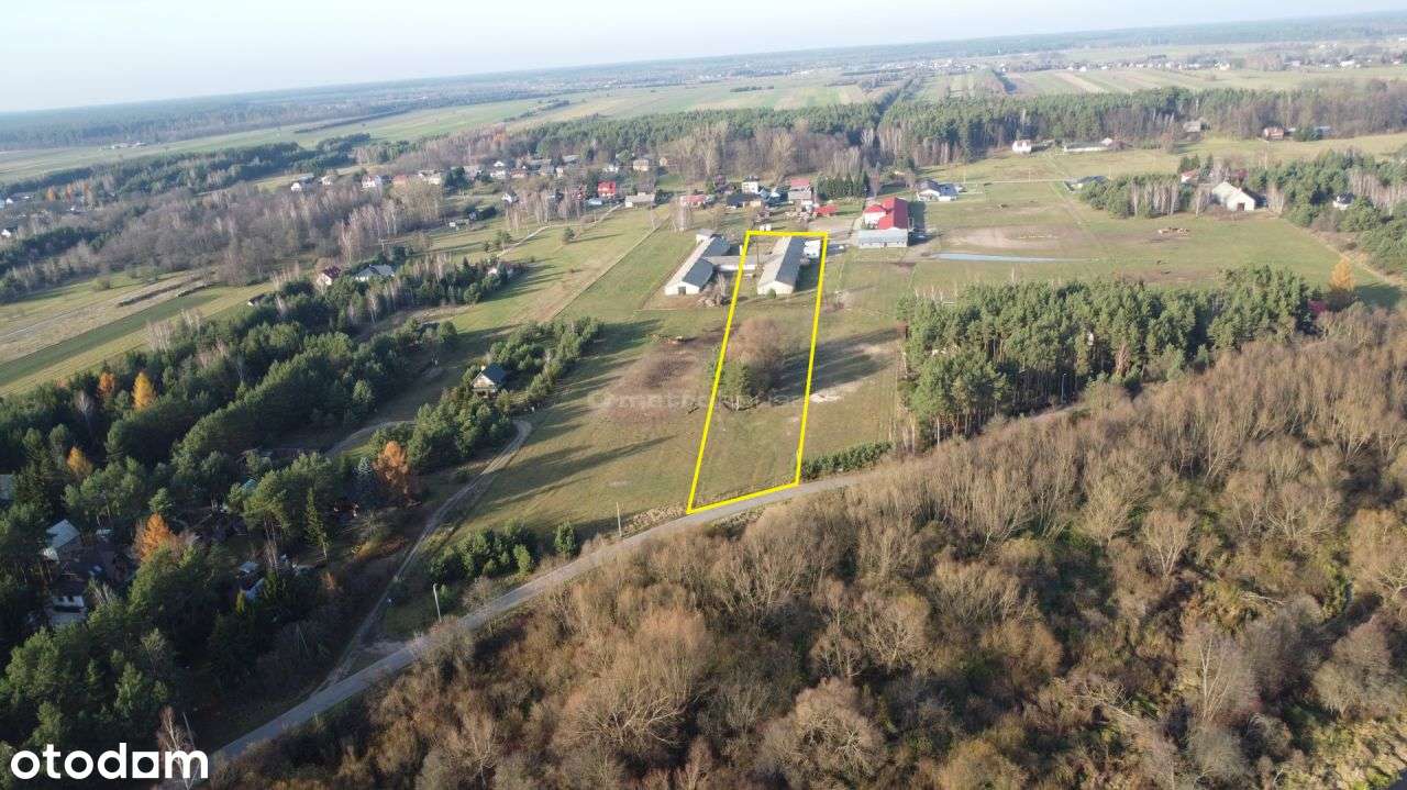 Działka, 10 585 m², Brańszczyk - Pełny obrazek: 4/18