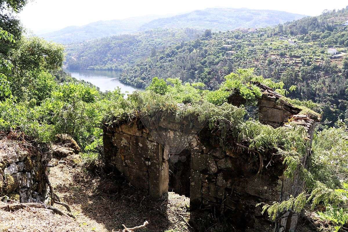 Quinta  para venda - Grande imagem: 5/16