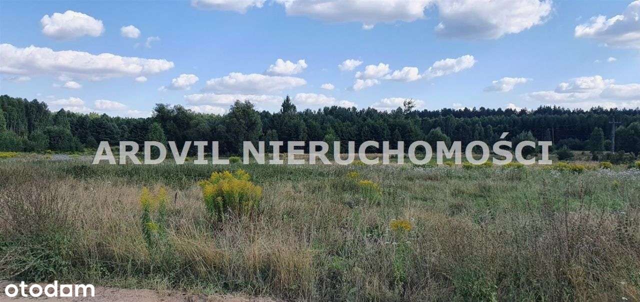 Twoja oaza spokoju! Grzybowszczyzna Stara. - Pełny obrazek: 4/4