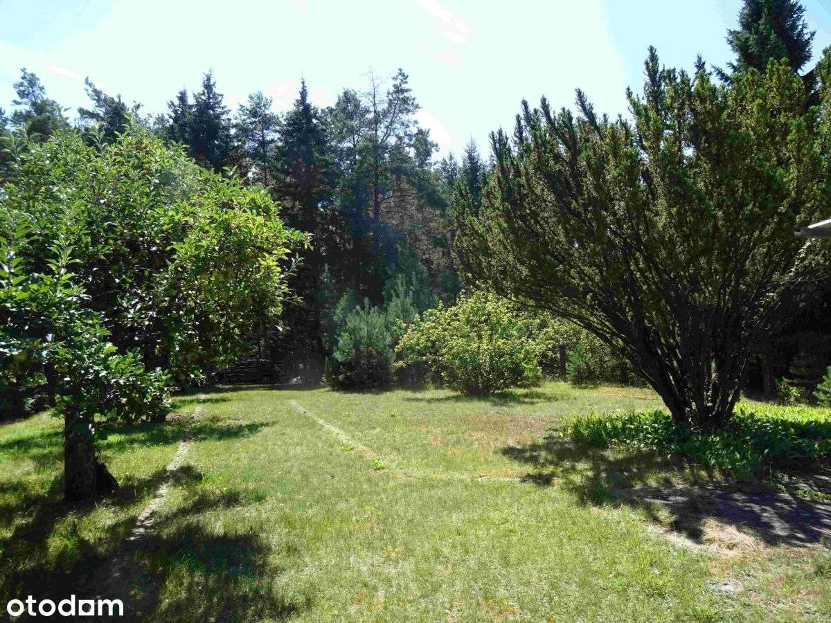 Okazja! Działka w pobliżu jeziora-2