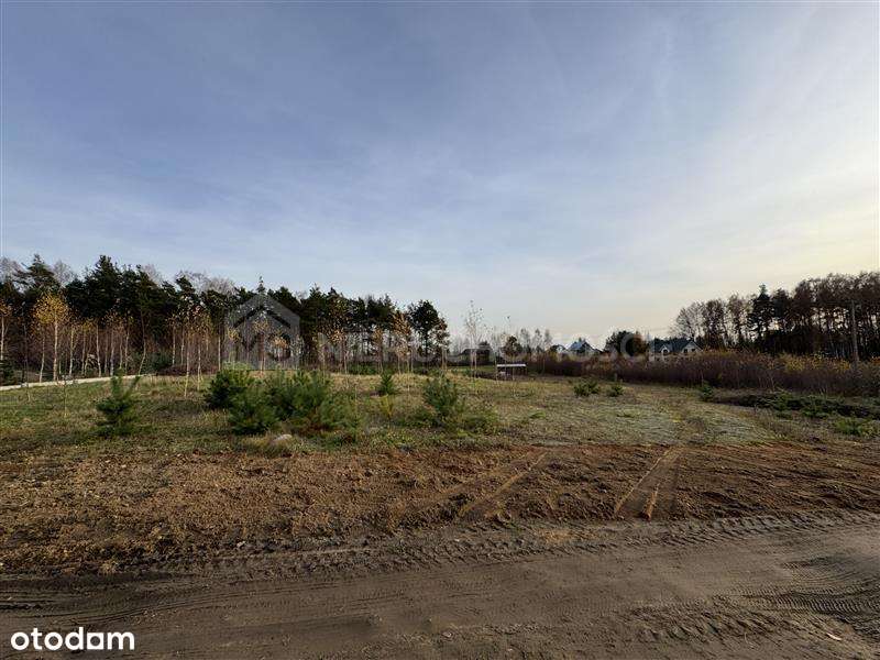 Działka przy lesie 3635 m2 - Lipinki Królewskie-5