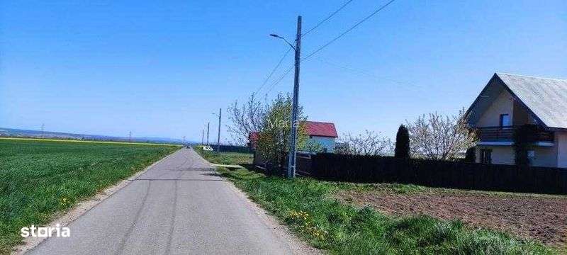 Vând 8100 mp teren - Imagine principală: 4/5