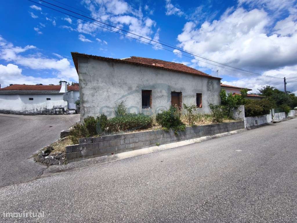 Imóvel a servir de barracão em aldeia junto a Torres Novas-4