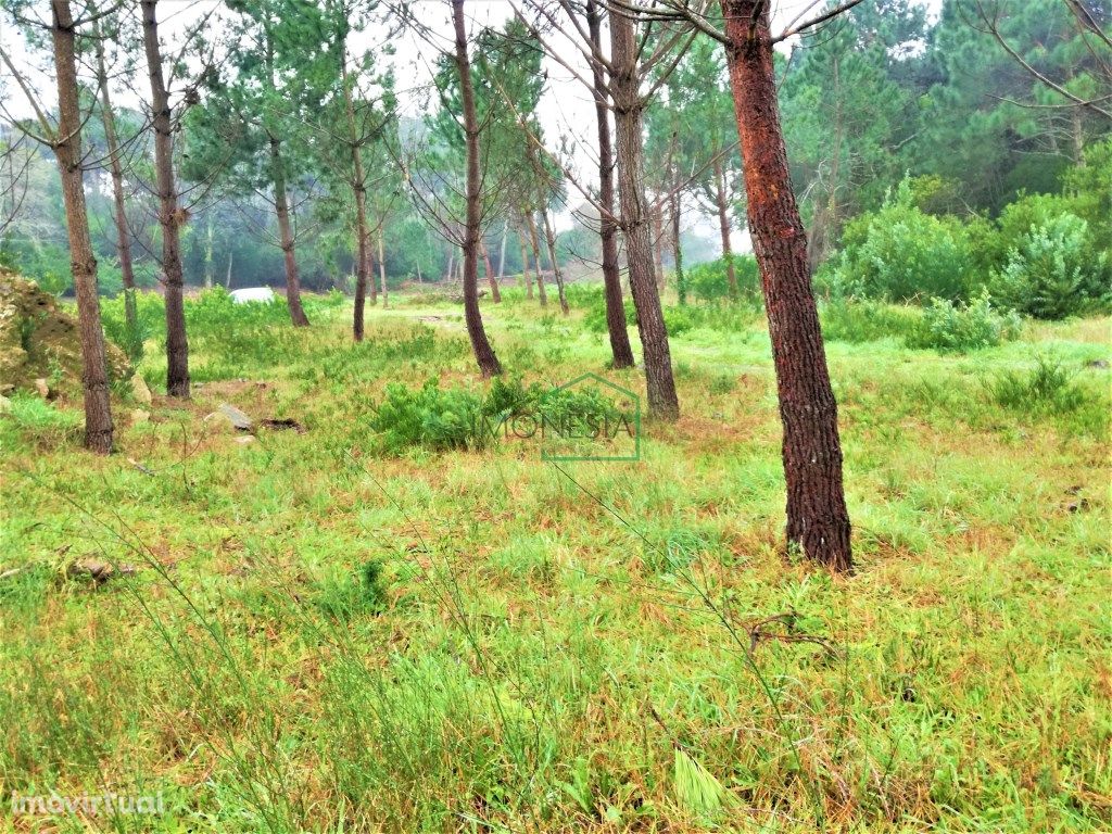 Terreno 500 metros da praia - 8407 m2