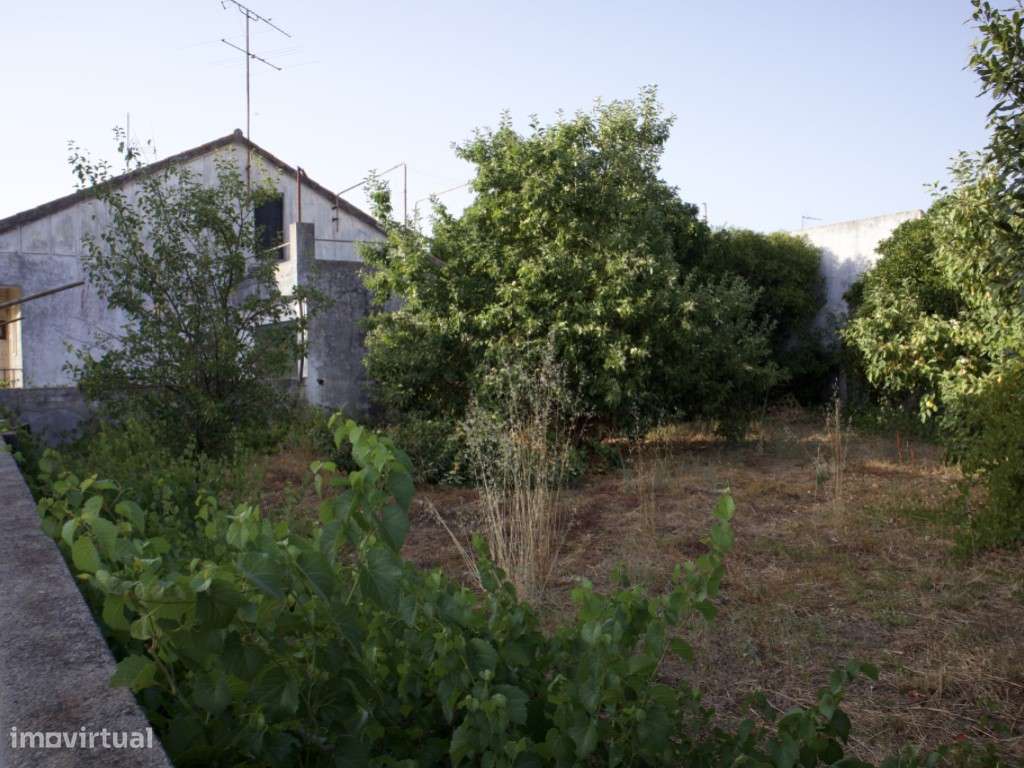 The Hidden Garden Project-12