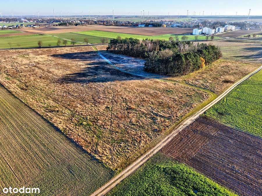 Działka budowlana przy lesie - Margonin-7