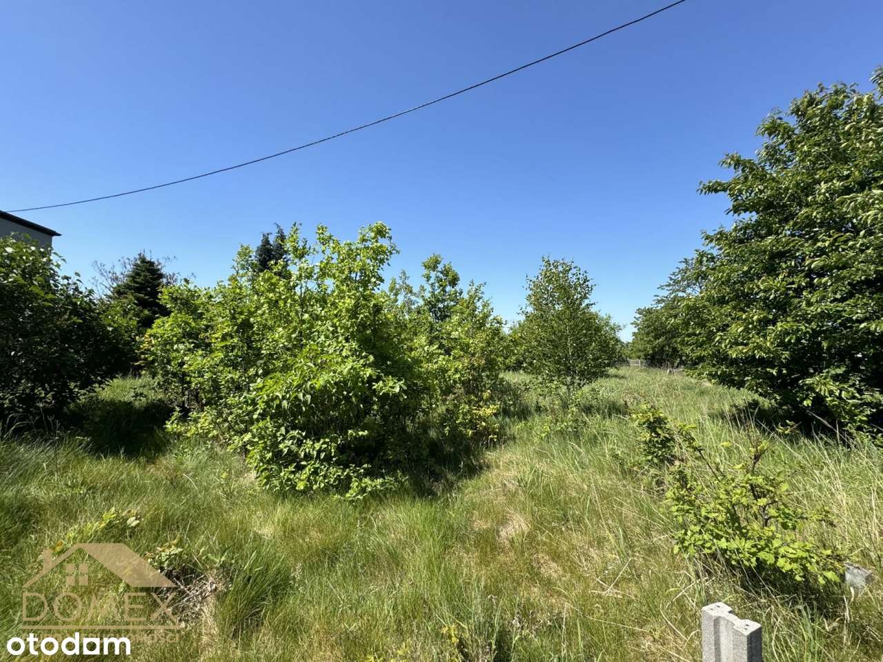 Działka niedaleko lasu, idealna pod budowę domu! - Pełny obrazek: 2/3