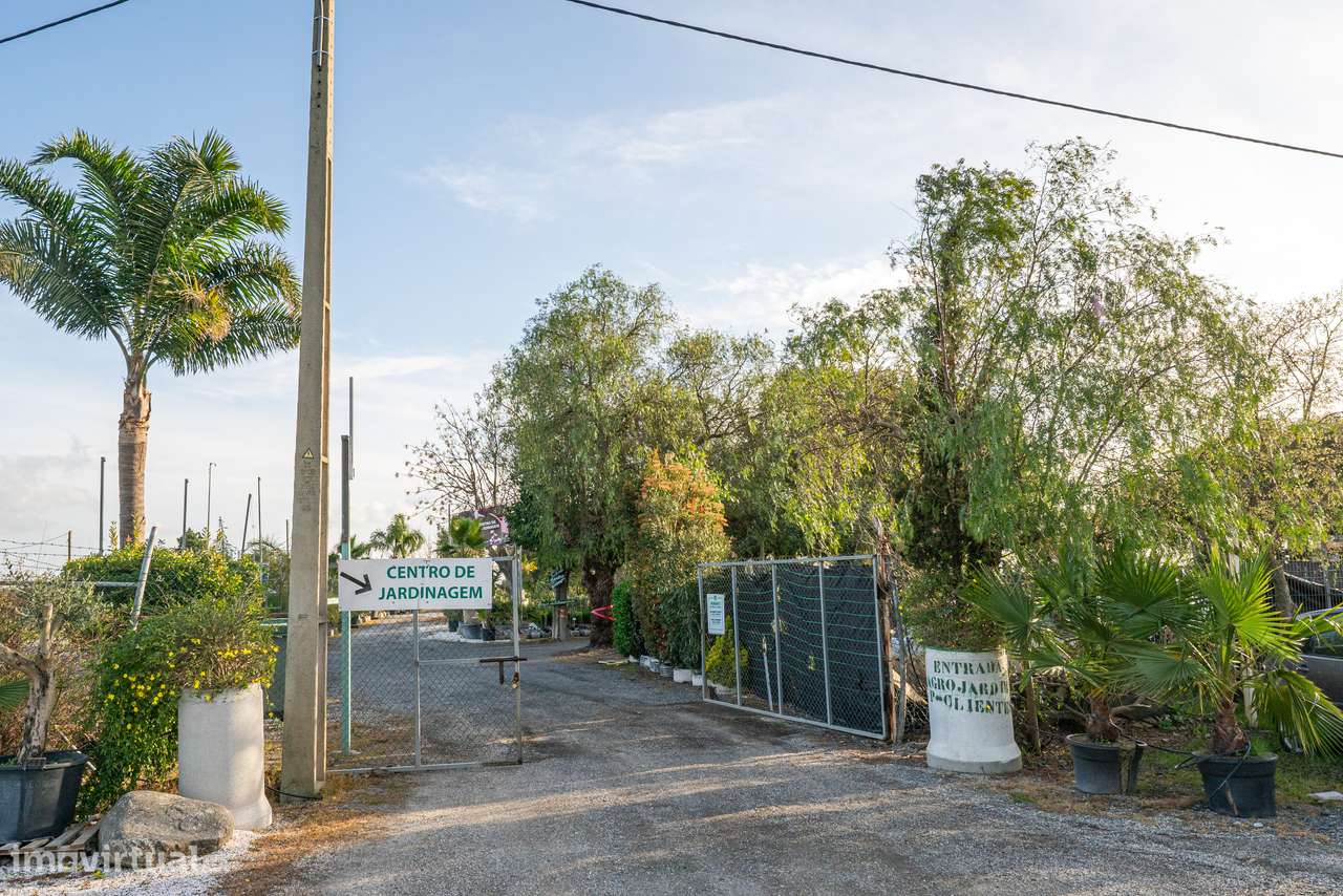 Trespasse de Centro de Jardinagem – Negócio Completo e Equipado - Beja-14