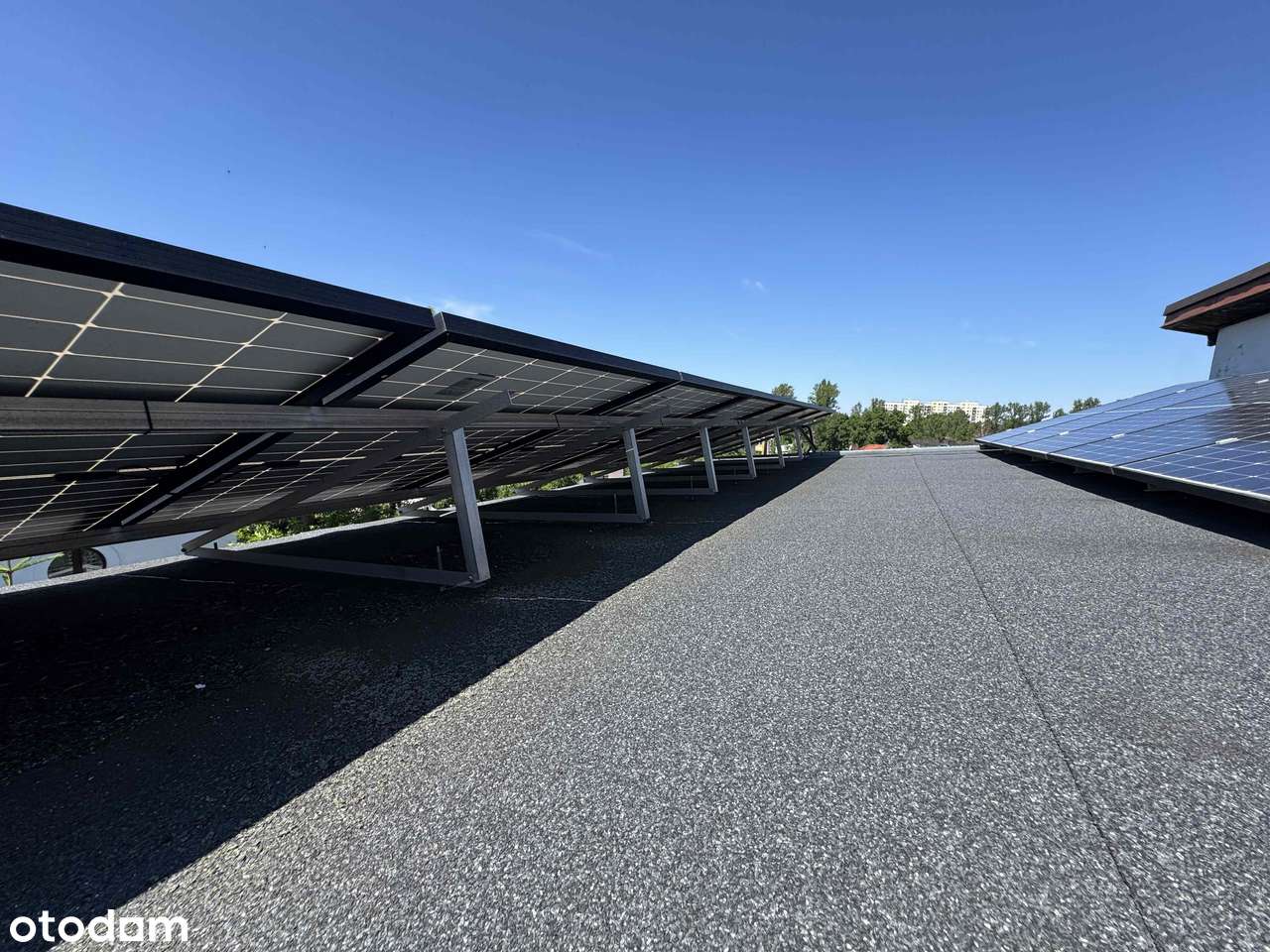 Syndyk sprzeda - Sosnowiec, ul. Grabowa - Pełny obrazek: 4/18