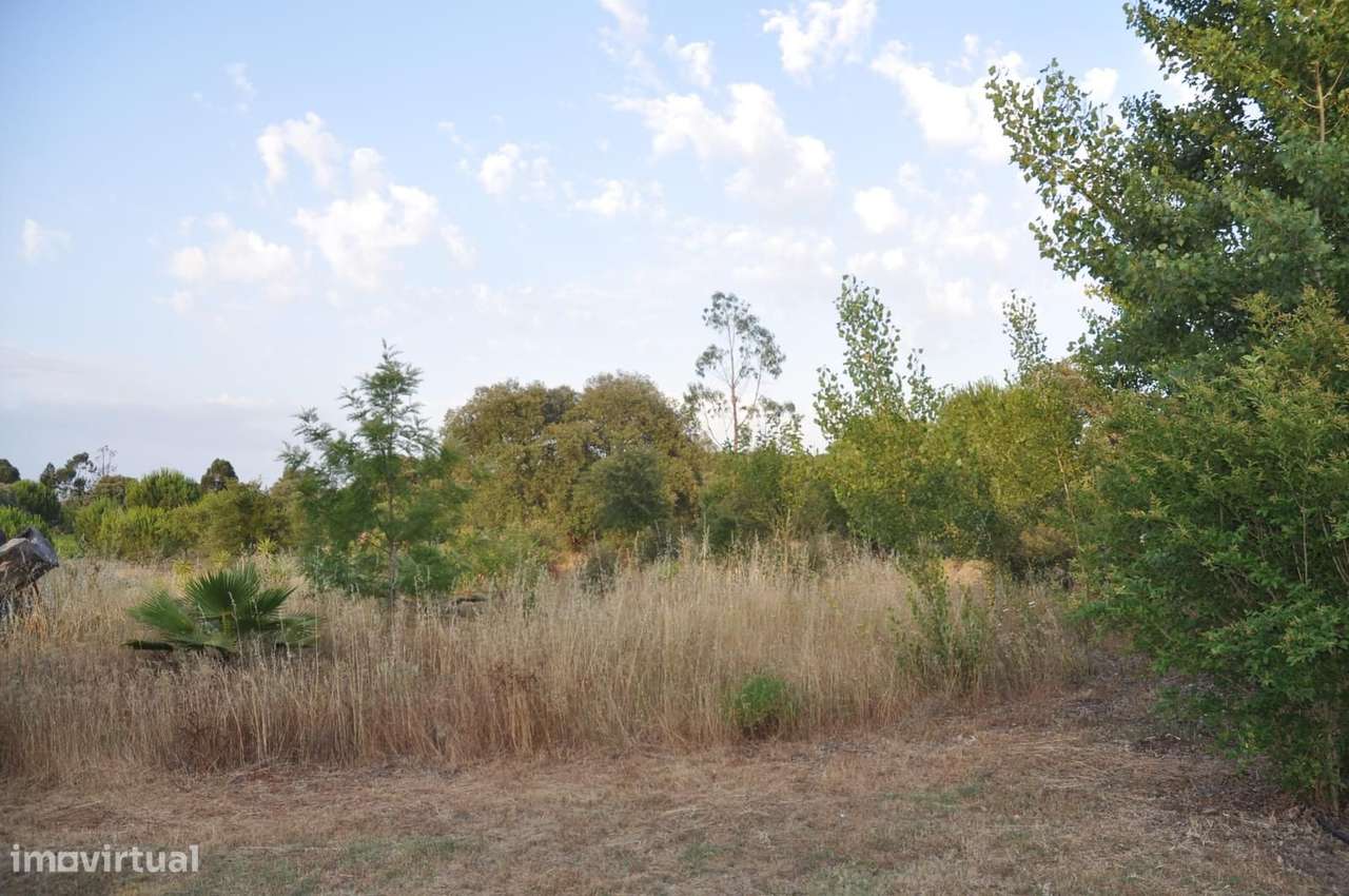 Terreno Rústico 7.5 ha, Quinta da Amoreira, Montemor-o-Novo - Grande imagem: 4/5