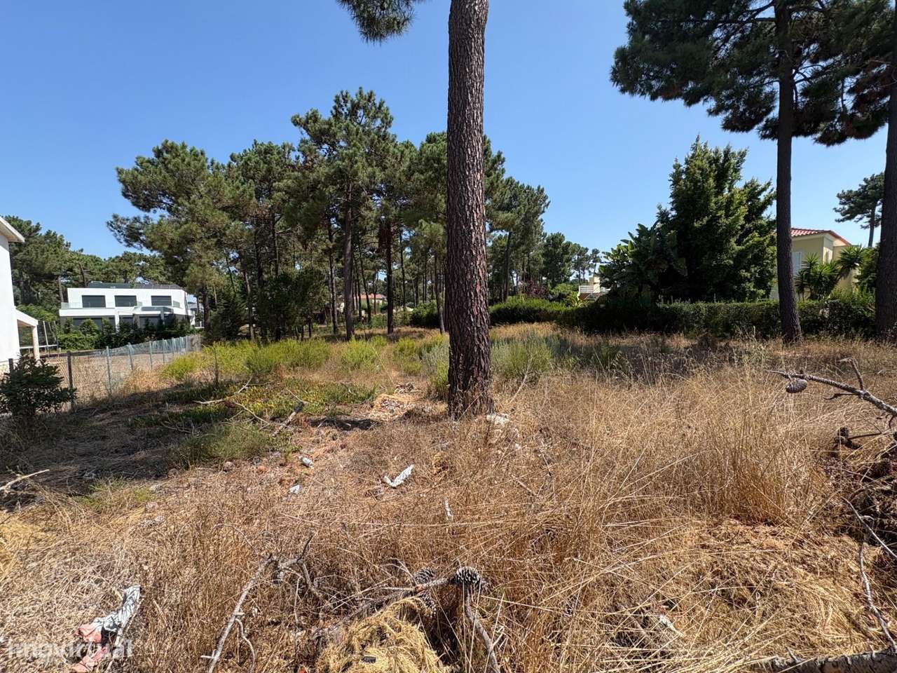 Lote com Projecto Aprovado na Herdade da Aroeira - Grande imagem: 4/9