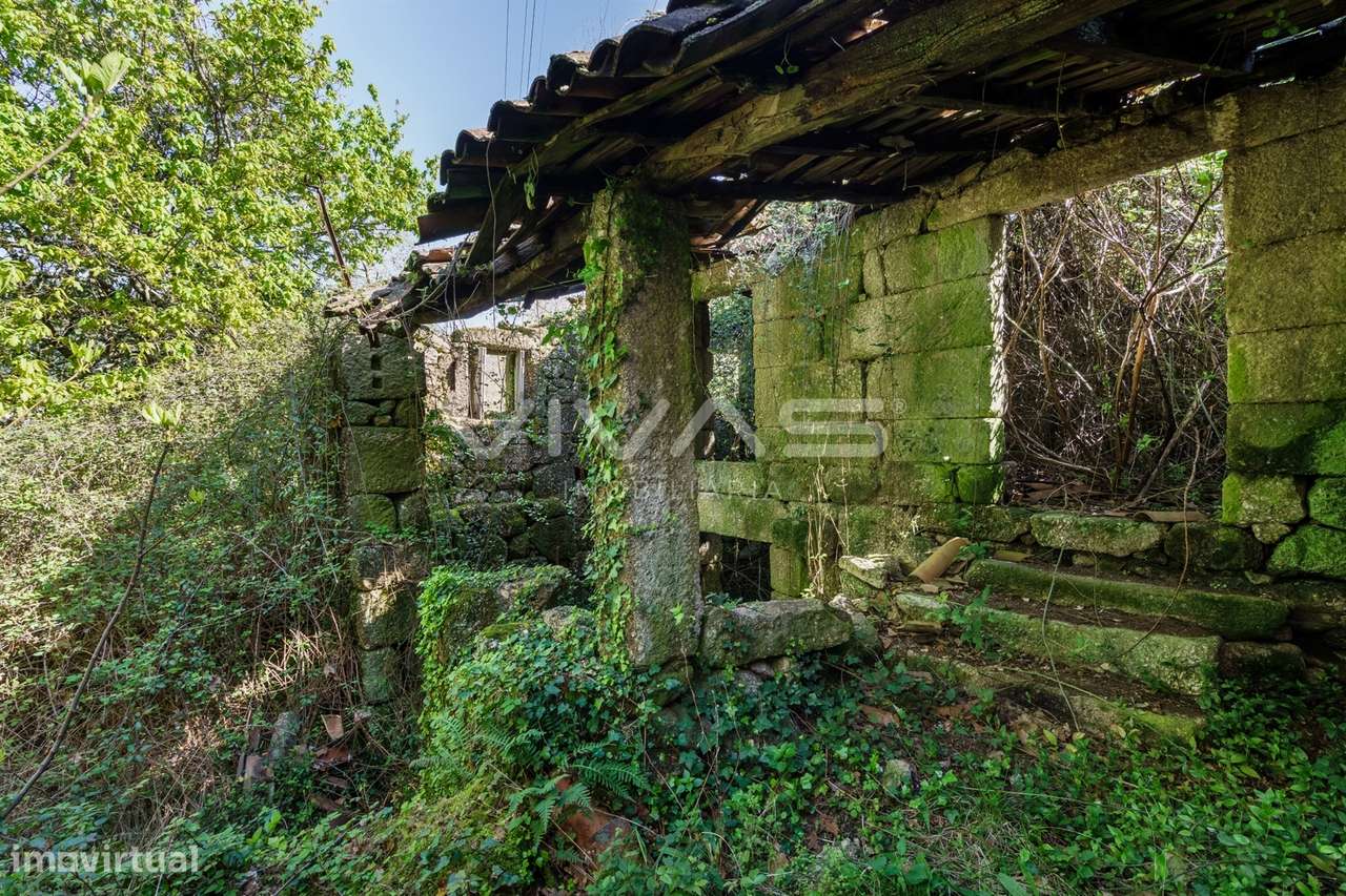 Quintinha  Venda em Parada do Bouro,Vieira do Minho - Grande imagem: 4/14