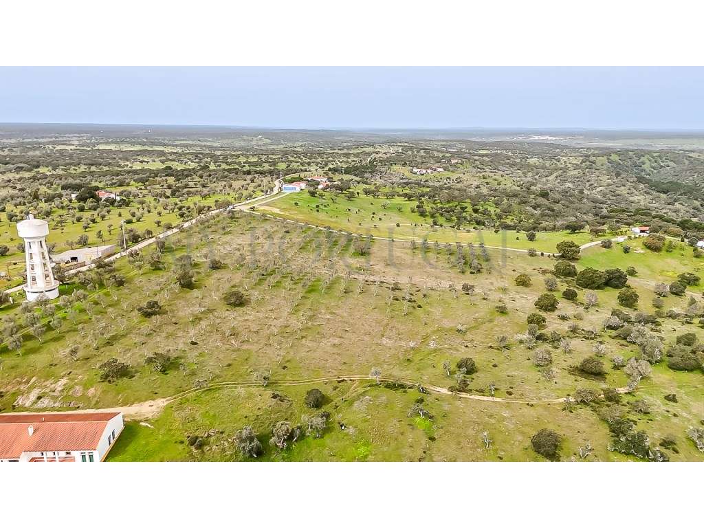 Herdade da Adua | 14 Hectares com Potencial Turístico e Agrícola - ...-9