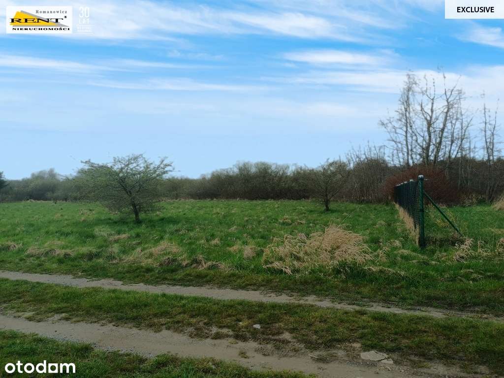 Działka pod rekreację nad morzem! - Pełny obrazek: 5/7