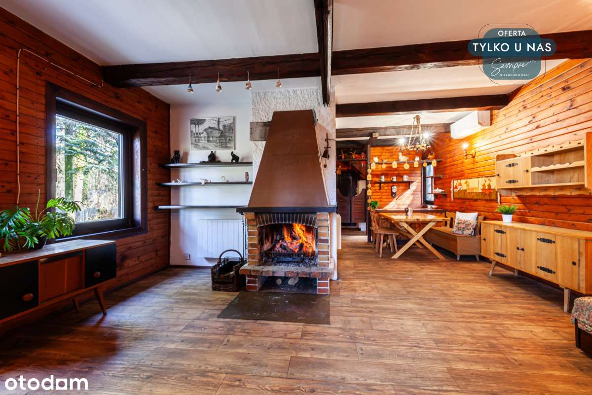 Piękna działka z lasem i domem drewnianym - Pełny obrazek: 4/19