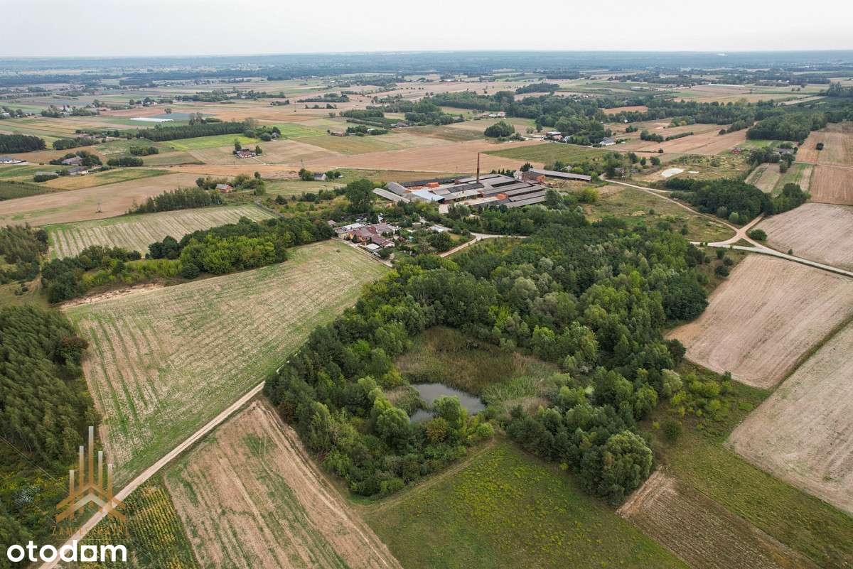 Teren inwestycyjny uzbrojony+budynki - pow. płocki - Pełny obrazek: 3/20