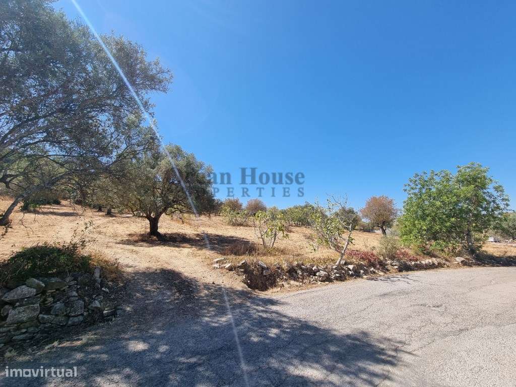 Terreno rústico com 14.400m2 em Santa Bárbara de Nexe - Faro - Grande imagem: 4/9
