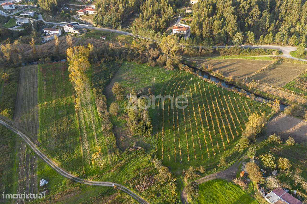 Godes - Terreno agrícola à beira rio c/ 4.819 m², em Sobreira - Grande imagem: 4/15