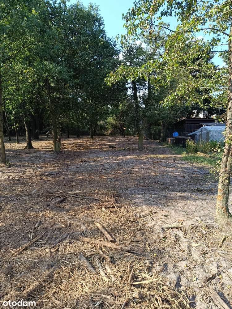 Działka w centrum Mosiny | Piękny widok | brak prowizji-1