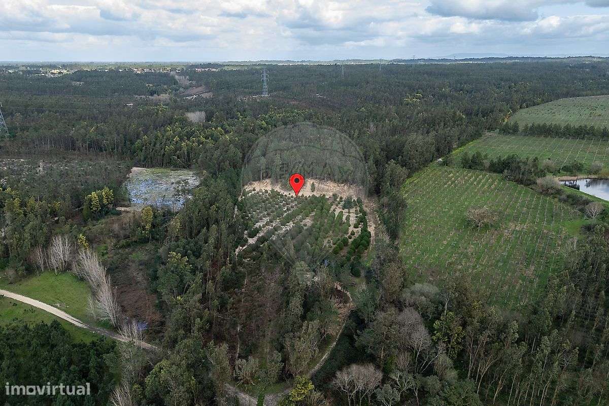 Terreno  para venda - Grande imagem: 4/13