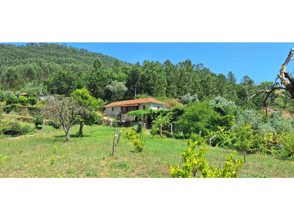 NEGOCIÁVEL Quintinha com casa em pedra perto passadiço do paiva - Grande imagem: 3/14