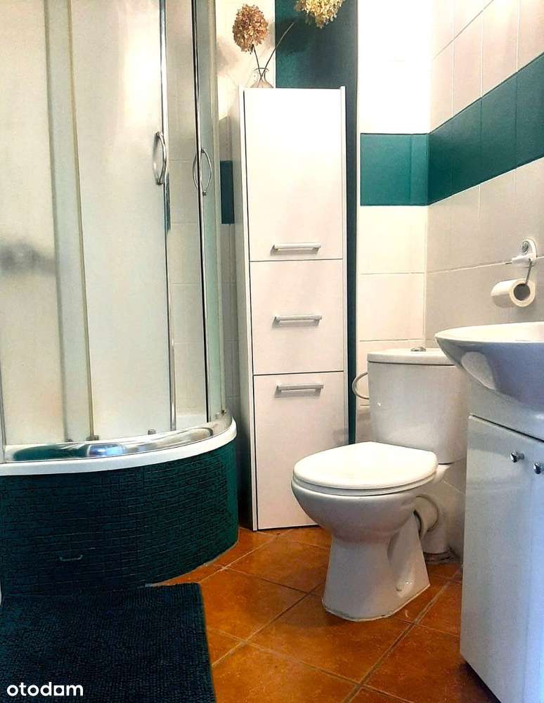 wolnostojący / ogród / garaż w bryle budynku-7