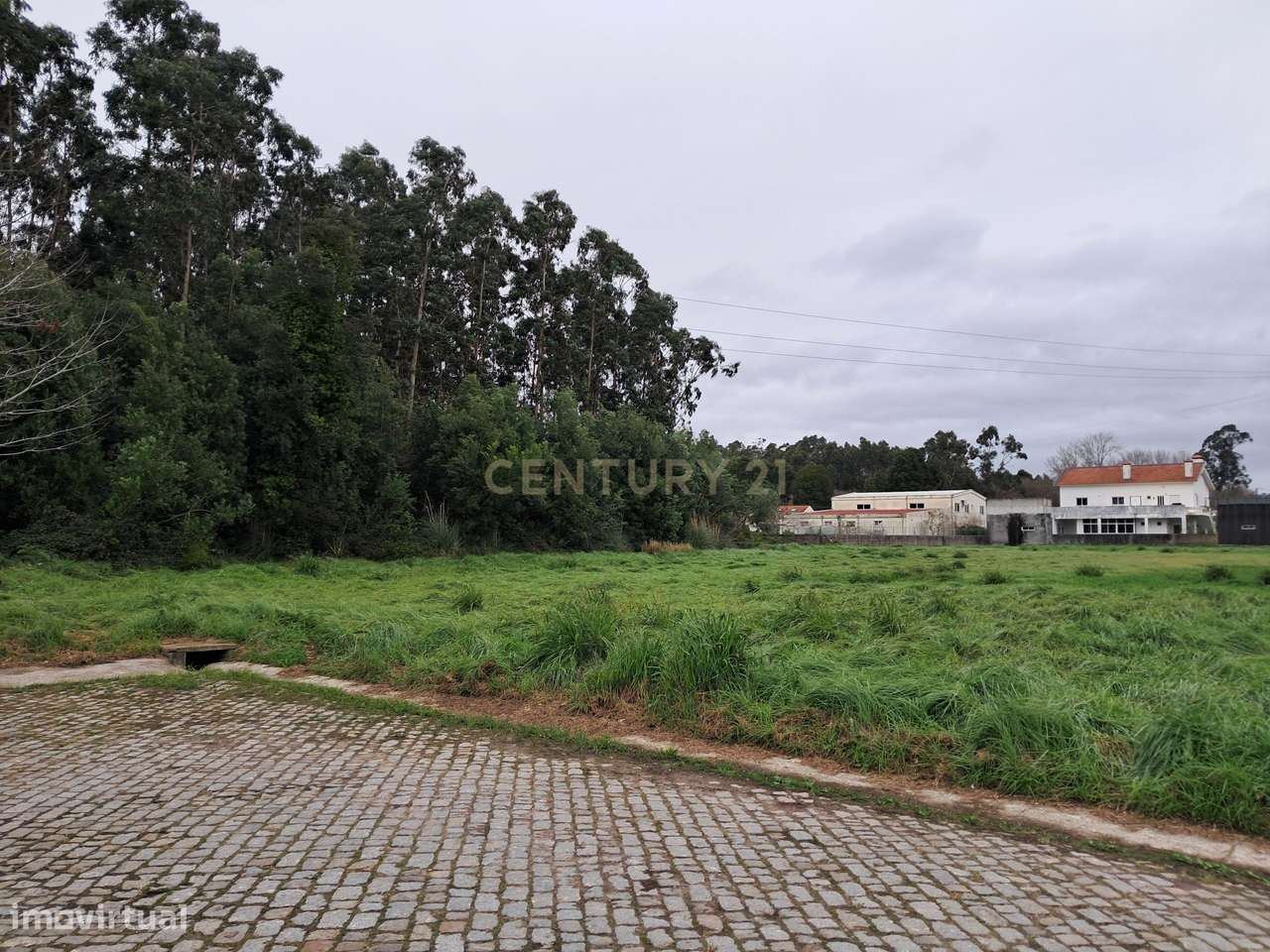 TERRENO EM CORTEGAÇA - Grande imagem: 4/7