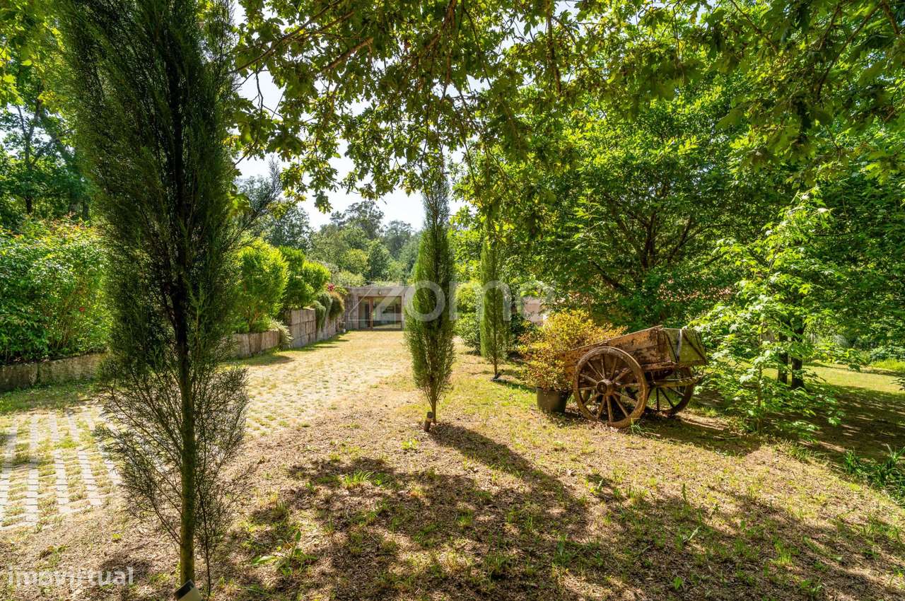 Quinta de Turismo Rural T6, Santa Comba Dão, Viseu - Grande imagem: 5/55