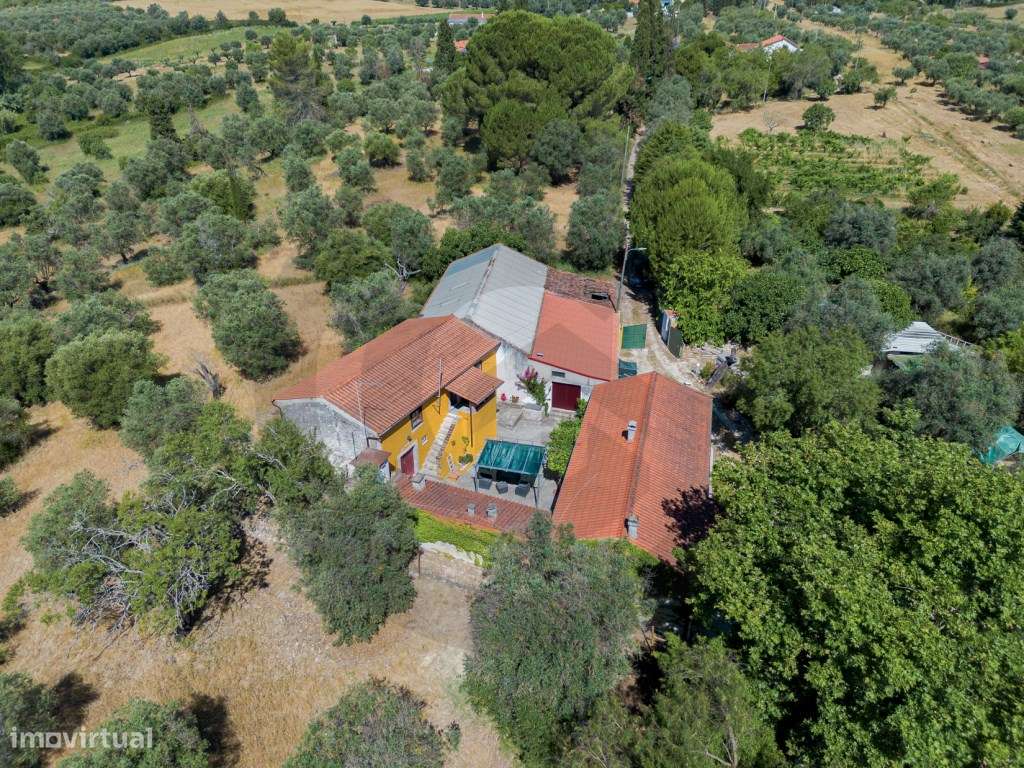 Quinta com Cerca de 1 Hectare | Potencial de Autossustentabilidade ...-10