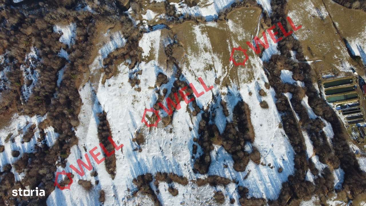 De vânzare teren extravilan în localitatea Vama Buzăului! - Imagine principală: 4/4