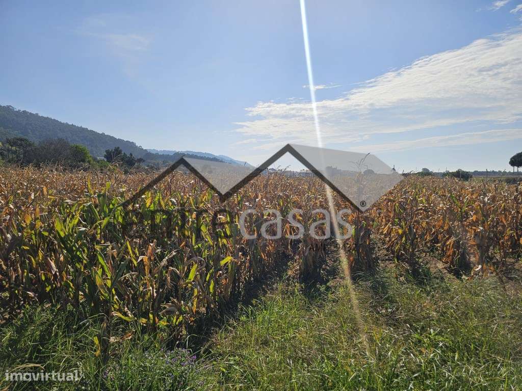 Terreno para Construção com Vistas de Mar - Carreço -Viana do Castelo - Grande imagem: 2/2