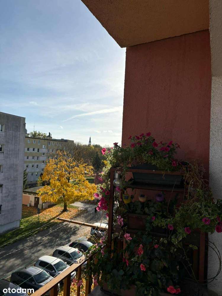 Przytulne  mieszkanie przy Parku Radolińskich, Jarocin/Kasztanowa! - Pełny obrazek: 4/12