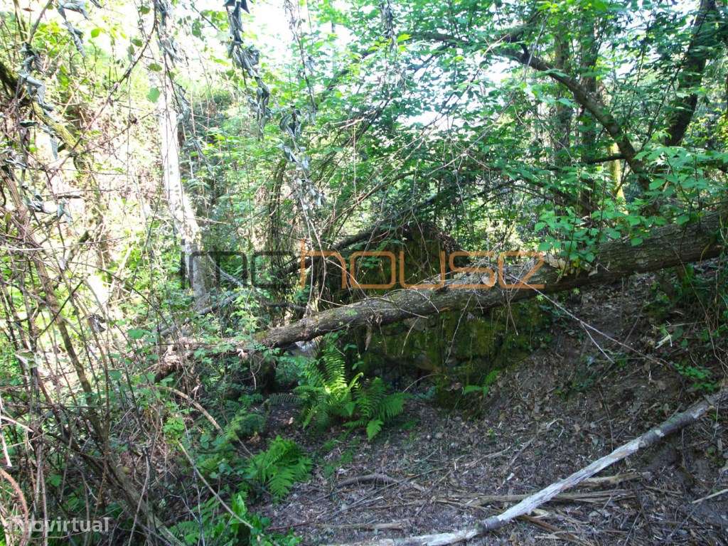 Quinta de 5.6 ha - Varias edificações, ribeiro e vista Douro-24