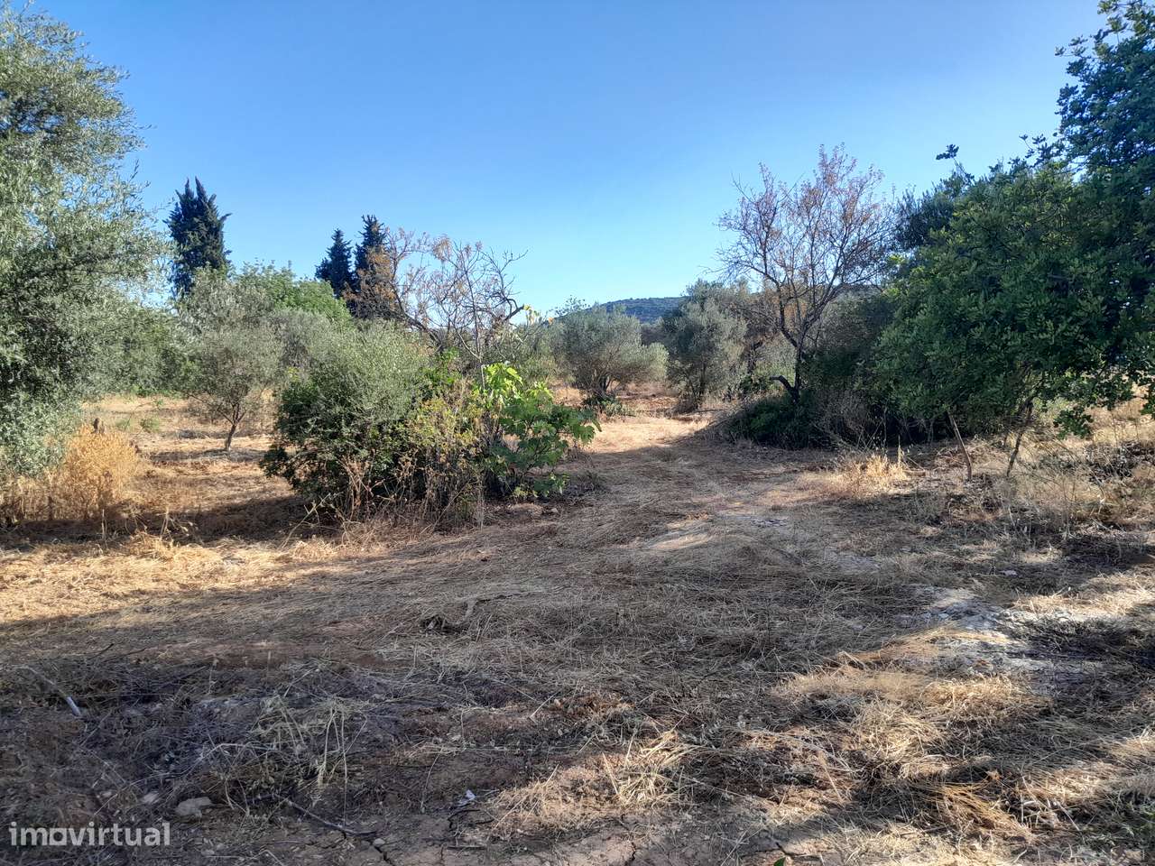 Moradia T3 C/ 10.000M2 Terreno C/ Furo-12