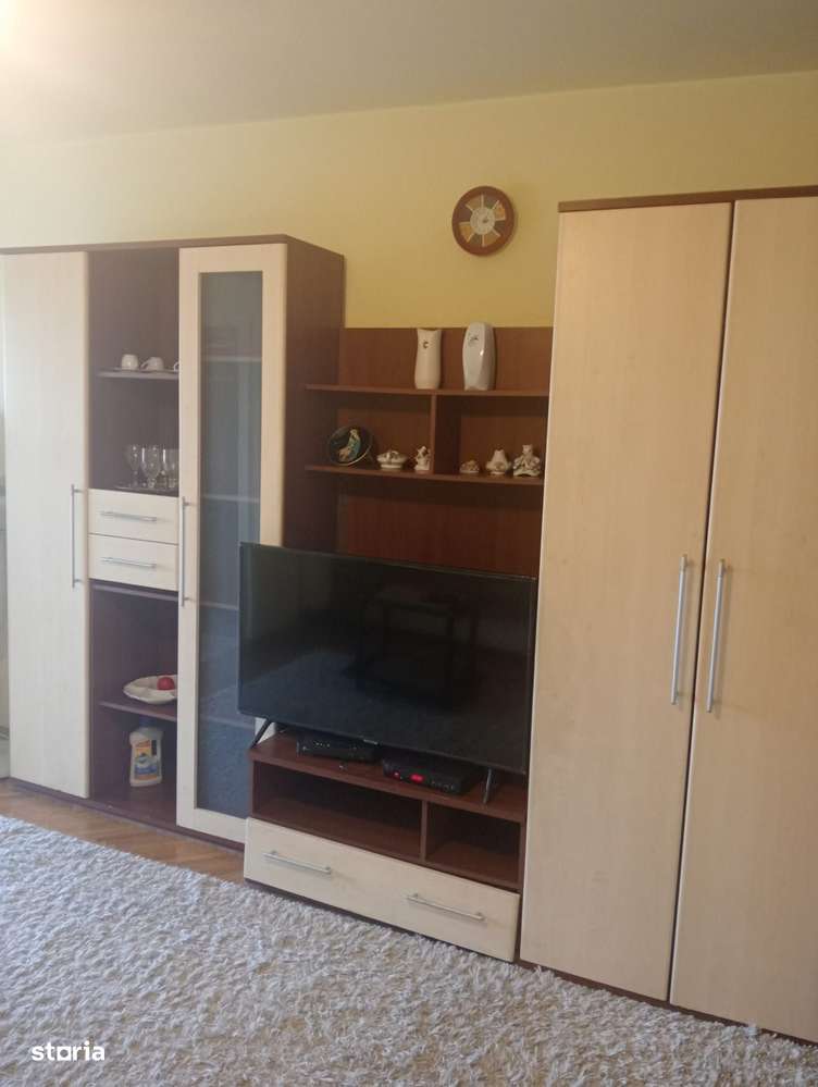 Apartament- 1 camera - ideal pentru investitie - Zona Circumvalatiunii - Imagine principală: 2/4