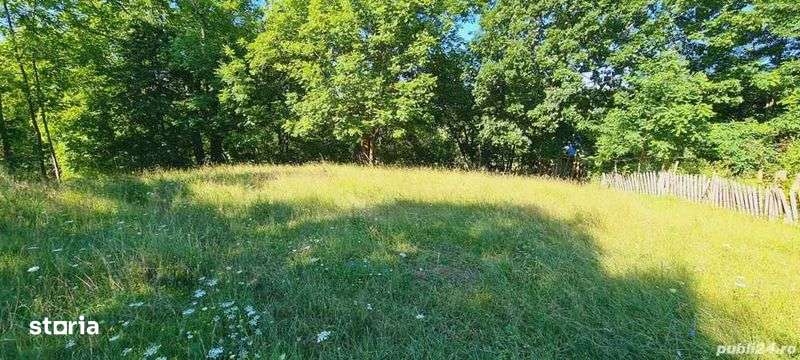 Vand teren EXTRAViLAN 4715 m² (T 27, parcela F 206) in comuna BERTEA - Imagine principală: 4/6